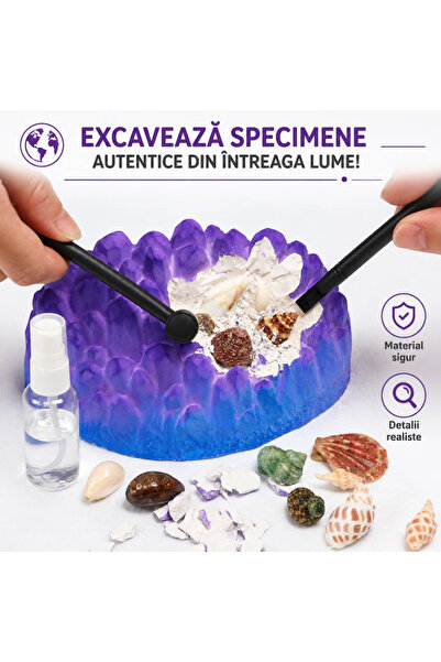Simply Joy Set educativ de excavare pentru copii, Simply Joy, Fosile și scoici marine, Kit arheologic STEM cu unelte de săpat, lupă și ochelari de protecție, Activitate educativă și creativă, +6 ani