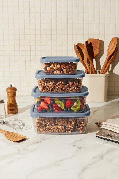 NESS HOME Set of 4 Rectangular Storage Containers (0.30Ml-0.60Ml-1.2L-2L) Fre...