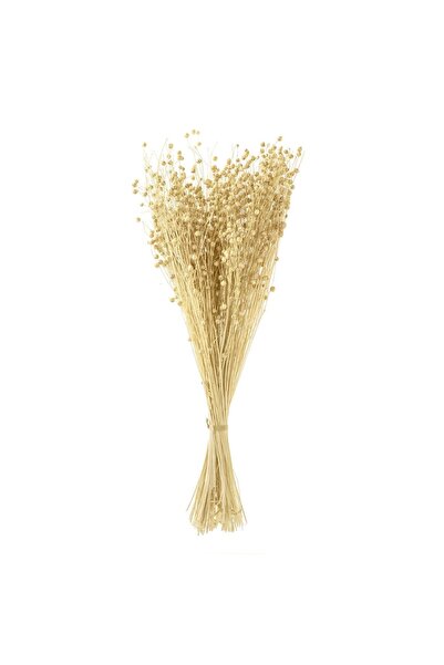 OEM Buchet decorativ cu flori artificiale, capete de flori crem, de 50cm