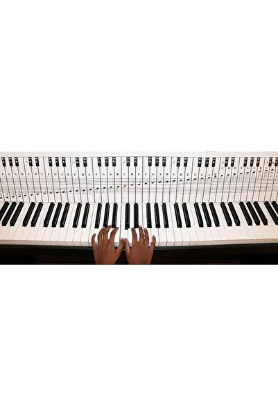 QMG Piano and Keyboard Note Chart for 88 Keys, Use Behind the Keys, Ideal Vis...