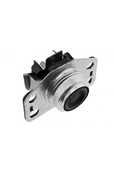 NTY SUPORT MOTOR RENAULT KANGOO 1.4,1.6 97-, TWINGO II 1.6RS 08-, WIND 1.6 10...