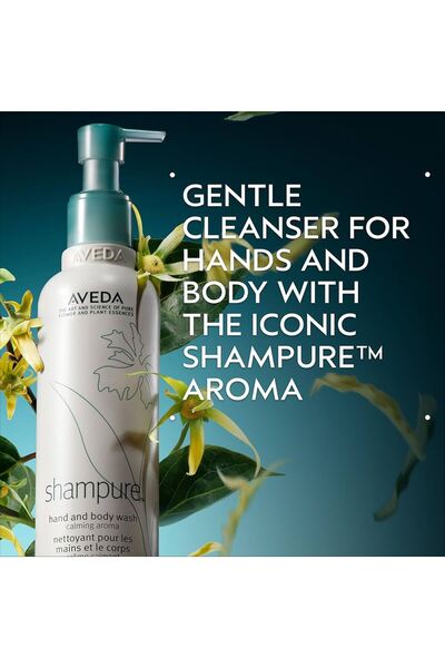 Aveda Σαμπιούρ Καθαριστικό Χεριών & Σώματος 250ml