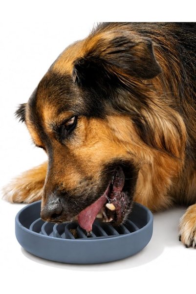 off shoulder The Slowdown Bowl: Silicone Slow Feeder Dog Bowl with Ridges to ...