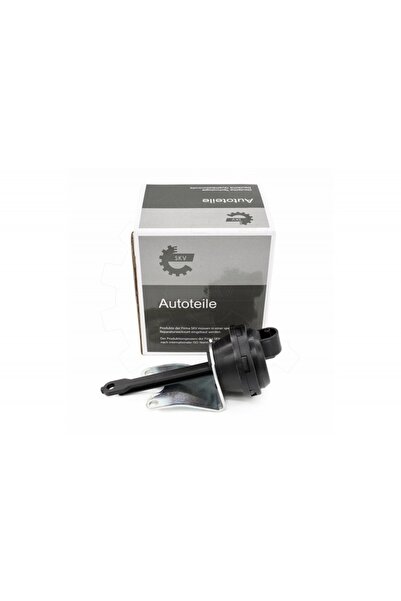 ESEN SKV Supapă vacuum Audi A3 A6 Seat Altea XL Leon VW Golf V Jetta III Pass...