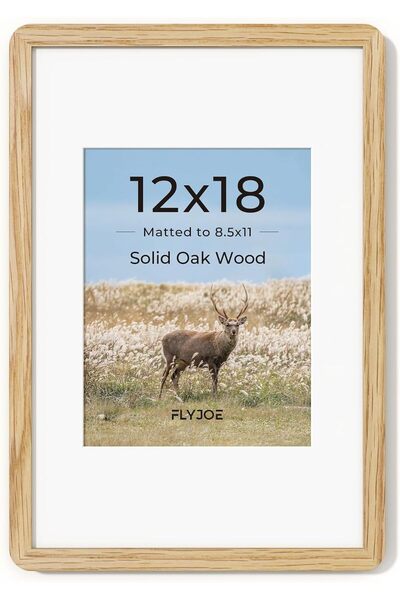 Generic 8x10 Picture Frame, Display Pictures 5x7 with Mat or 8x10 Without Mat...