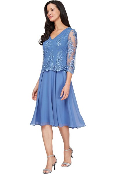 Alex Evenings Women's Plus Size Stretch Lace Bodice Mock One Piece Gown