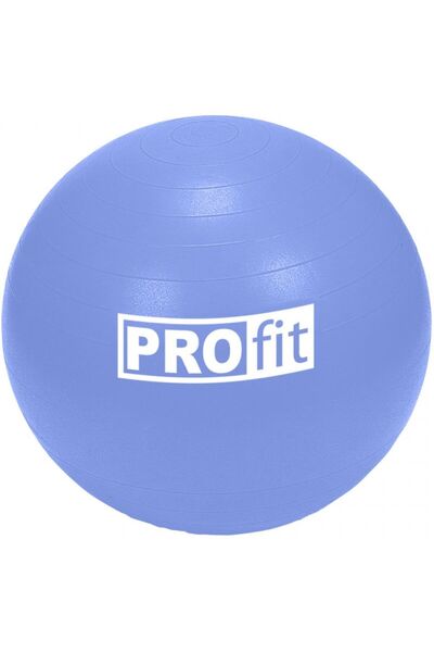 Profit Minge de gimnastică de 65cm cu pompă DK 2102