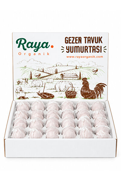 Raya Organik Gezen Tavuk Yumurtası 30'lu