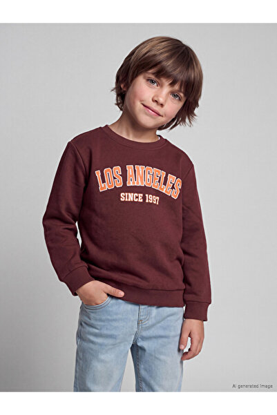 LC Waikiki Esvab • Modern & Distinctive Printed Thick Boys' Sweatshirt