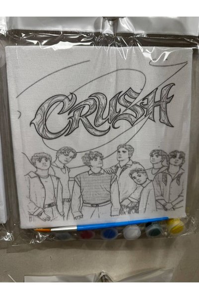 BUBİBA CRUSH GRUP TUVAL BOYAMA SETİ 20X20 CM