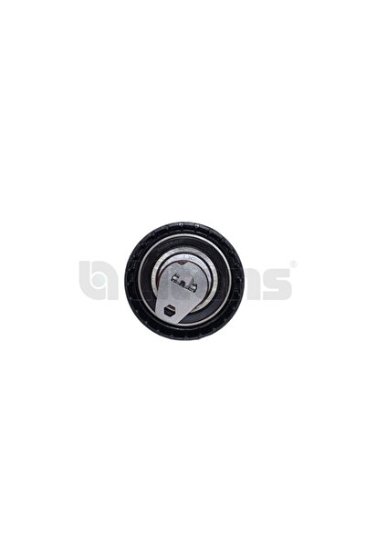 EKSANTRIK GERGI RULMANI DUSTER LOGAN SANDERO KANGOO MEGANE LAGUNA 1.4 16V / 1.6 16V
