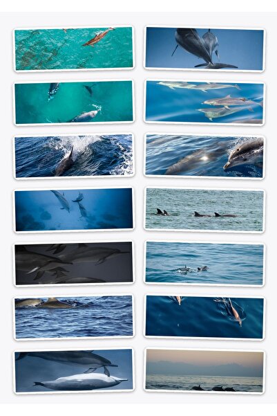 OEM Swimming Dolphins Sticker Pack, Set of 14 Stickers, Waterproof, Funny Design