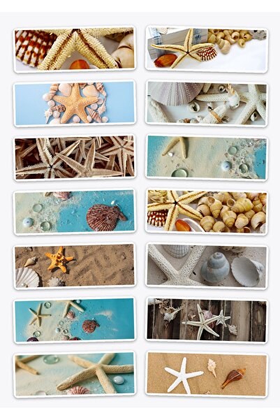 OEM Pachet Stickere Set de 14 cu Tematica Stele de Mare si Scoici, Impermeabi...