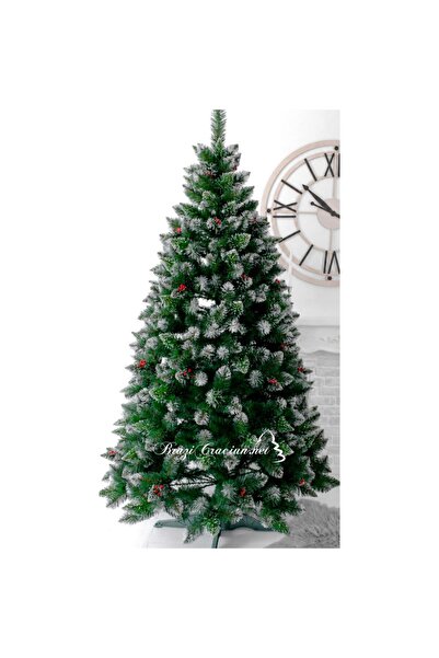 Xmasio Brad Artificial nins Regalis 250 cm