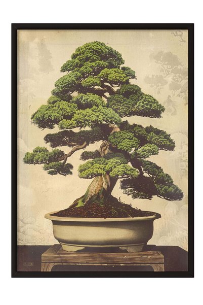 Postifull Poster cu un copac bonsai – Tablou cu ramă neagră — Nr.: 180187