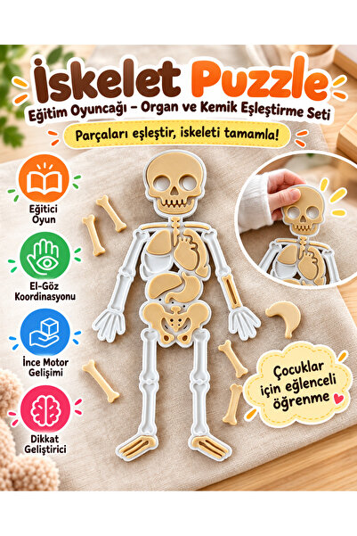 Çocuklar İçin Eğitici İskelet Puzzle Seti – Organ ve Kemik Eşleştirme Oyuncağı, Montessori Eğitici Aktivite