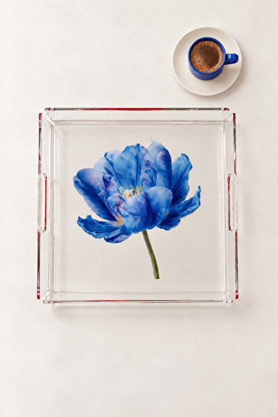 Varbifırsat Blue Tulip Patterned Transparent Acrylic (Plexiglass) Decorative ...
