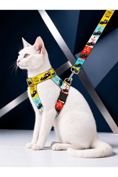 z zizuph Cat Collar H Type Adjustable Chest and Strap Set