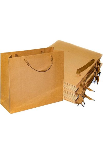 GENERAL Rosy.Moment 12-Pack Eco-Friendly Gift Bag with Handles - Brown (25x32...