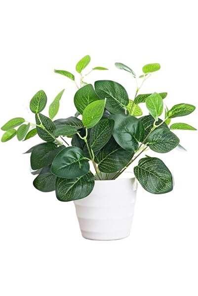 GENERAL نباتات اصطناعية في أصص صغيرة للديكور الداخلي، نباتات محاكاة صغيرة للز...