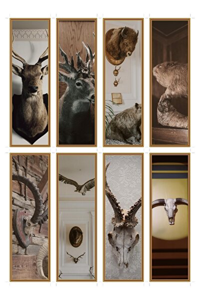 OEM Bookmarks Set of 8, Taxidermy Mounting Theme, Premium Cardboard, Unique D...