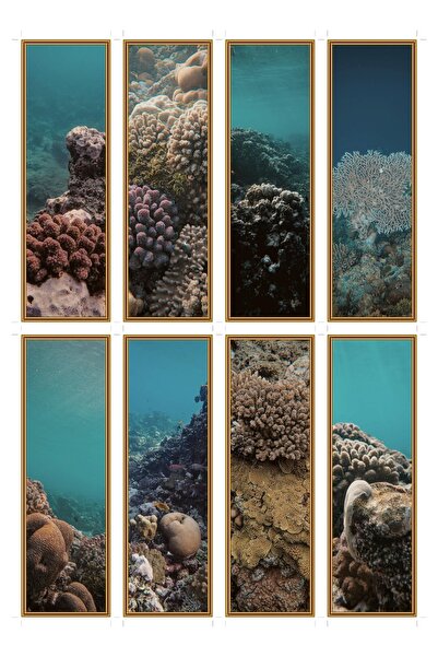 OEM Semne de Carte Set de 8 Șanțul de Coral, Design Elegant, Carton Premium, ...