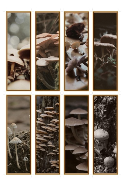 OEM Bookmarks set of 8 with mushroom and mycology theme, vintage design, prem...