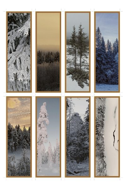 OEM Semne de Carte Set de 8, Tema Îngheț Taiga, Design Elegant, Carton Premium
