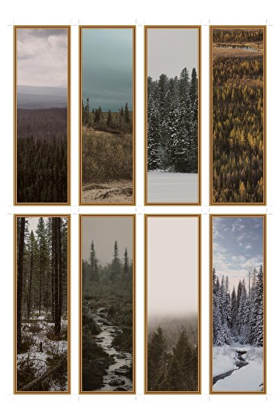 OEM Semne de Carte Set de 8, Tema Sălbăticie Boreală, Carton Premium, Design ...
