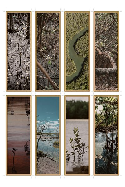 OEM Set 8 semne de carte tema ecosistem mangrove, design inspirat din natura,...