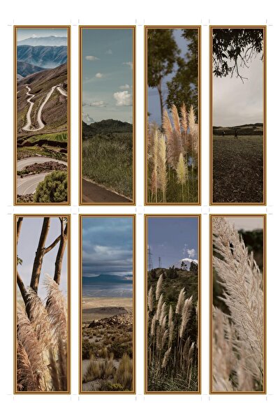 OEM Set 8 semne de carte cu tema valea pampasului, design boho elegant, carto...