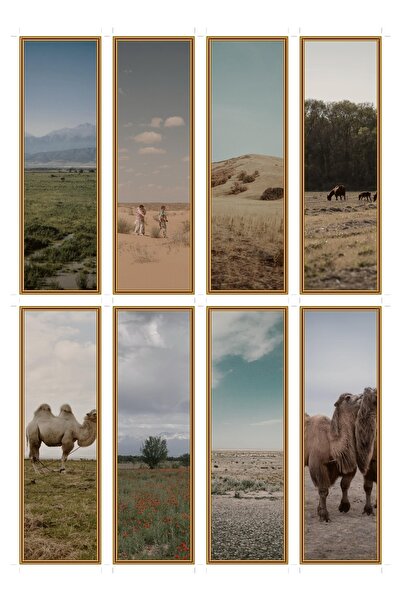 OEM Bookmarks Set of 8 with the Theme of Steppe Photography, Unique Design, D...