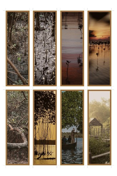 OEM Set 8 semne de carte tematica fotografie de mangrove, carton premium, des...