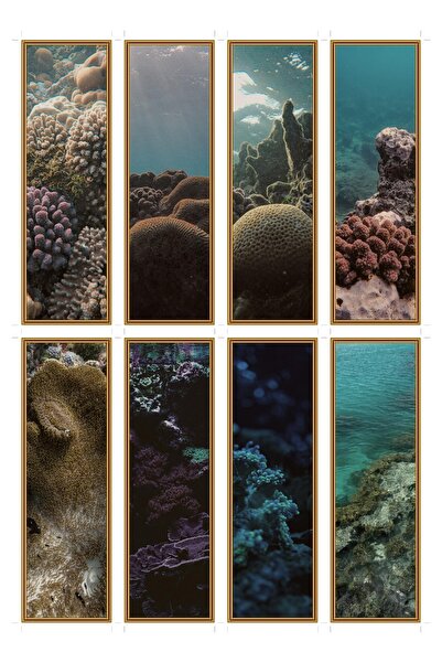 OEM Semne de Carte Set de 8 Panorame de Corali, Design Elegant, Carton Premiu...