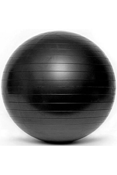 SMJ Minge de gimnastică cu pompă GB-S 1105