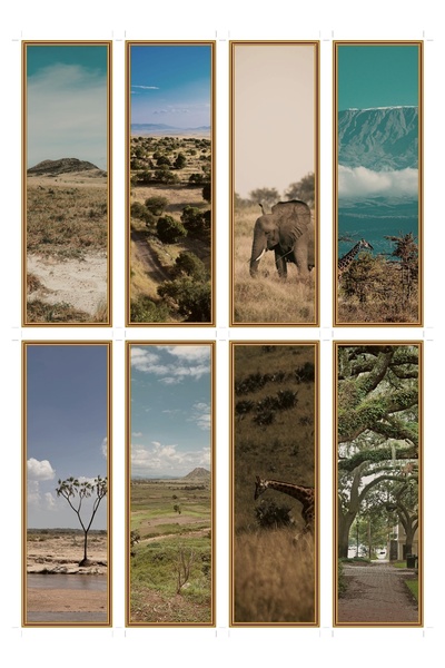 OEM Semne de Carte Set de 8 Bucati cu Tematica Panorame de Savana, Design Ele...
