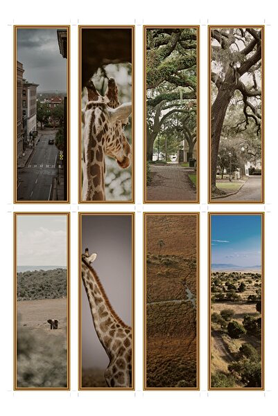 OEM Set of 8 bookmarks with savannah landscapes, design inspired by nature, d...