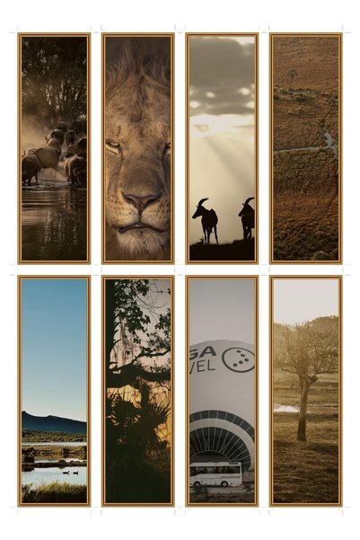 OEM Set 8 Semne de Carte Tematica Zori de Savana, Design Elegant, Carton Premium