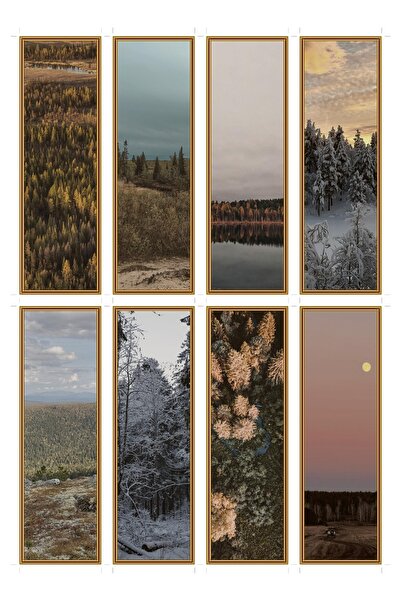 OEM Set of 8 Taiga Nights Bookmarks, Natural Thematic Design, Durable Cardboard