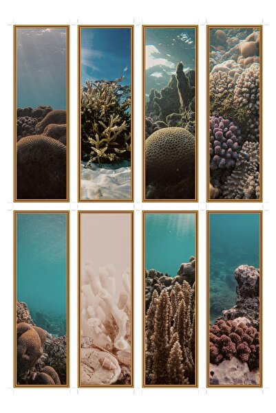 OEM Semne de Carte Set de 8 Amiezi de Coral, Design Elegant, Carton Premium