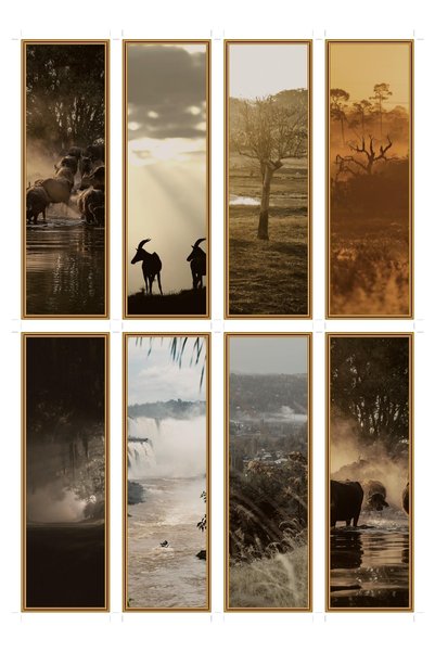 OEM Set 8 Semne de Carte Tema Cețurile din Savană, Design Elegant, Carton Pre...