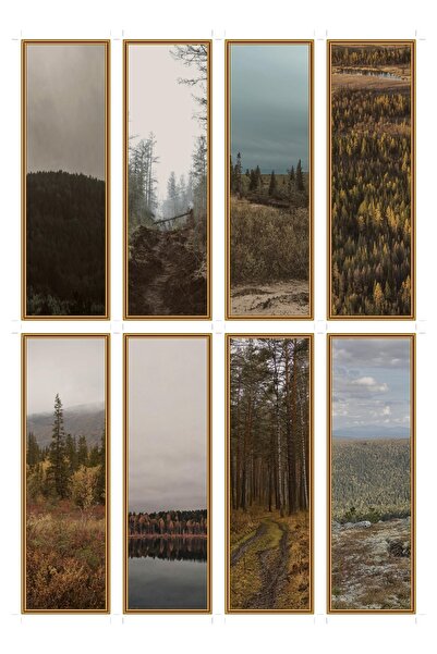 OEM Set of 8 bookmarks rain in the taiga, design inspired by nature, durable ...
