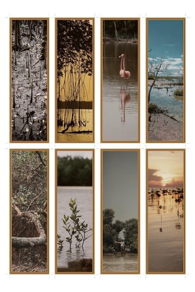 OEM Set 8 semne de carte cu tema ghetari de mangrove, carton premium, design ...