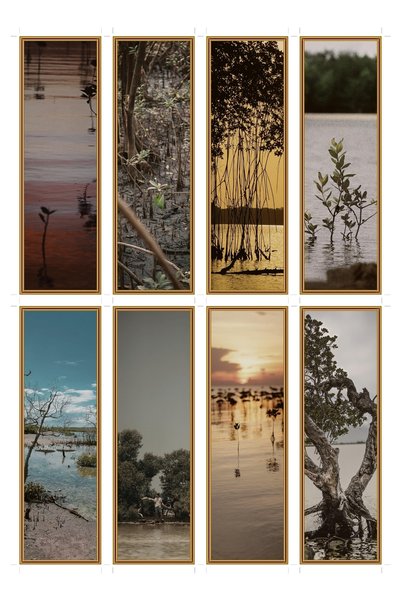 OEM Set 8 semne de carte cu tema mangrove în zăpadă, design elegant, carton d...