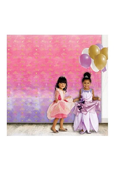 Generic Disney Princess Plastic Backdrop 1.21x2.43meter