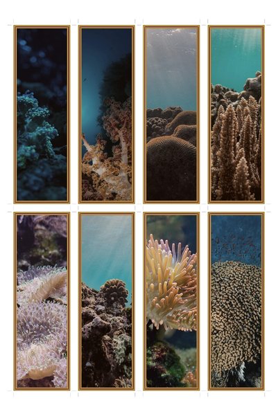 OEM Semne de Carte Set de 8 cu Tema Cețuri de Coral, Design Elegant, Carton P...