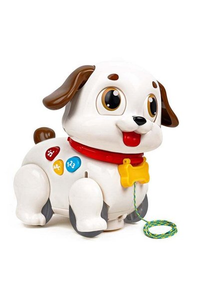 Generic Hola Crawl & Pull Along Learning Puppy for Babies 6+ Months | Interac...