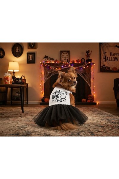 Barneystore Kedi Köpek Halloween Cadılar Bayramı Özel Elbise