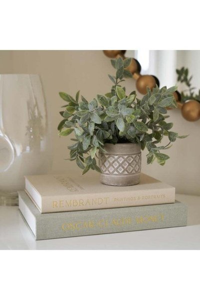 Generic Decorative Books Set of 2, Beautiful Linen Boxes Decor Coffee Table B...