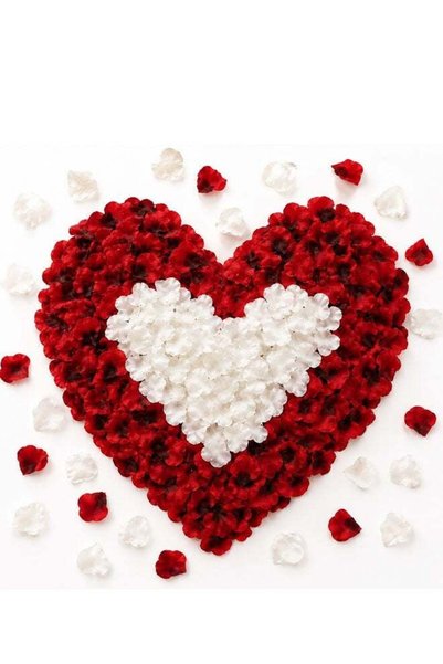 Generic 3000 PCS Artificial Rose Petals, 5x5 cm Fake Flower Petals, Romantic ...